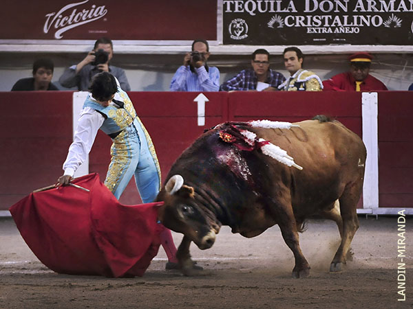 Un rasgo, su estilo expresivo