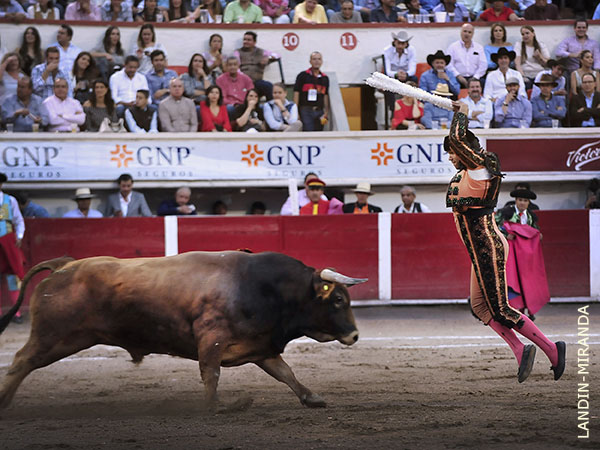 Cuadrando en la cara