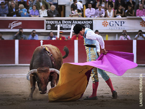 Nuevo gallo en Aguascalientes