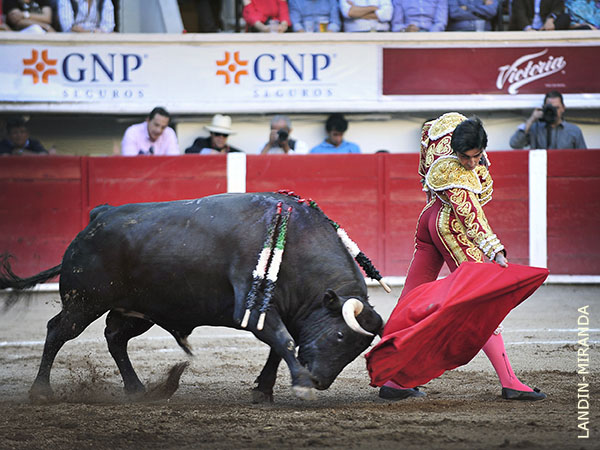 Disfrut� su regreso a 