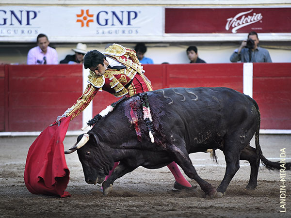 Poder�o y finura de mu�ecas