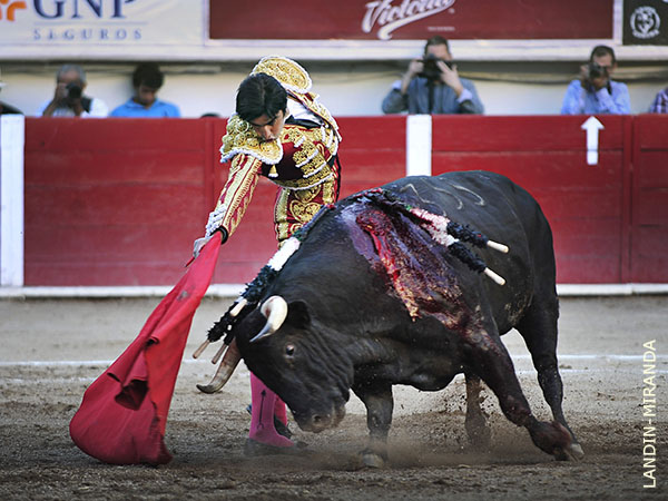 Las mejores virtudes del ejemplar