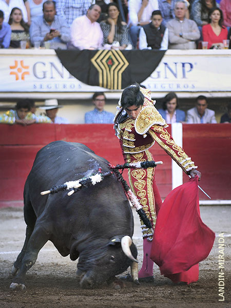 En un palmo de terreno