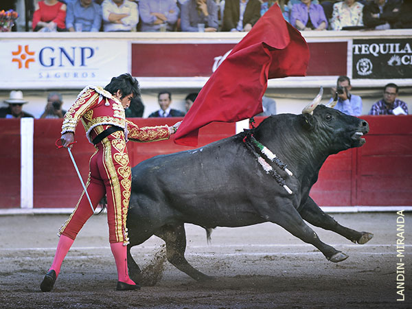 Cuaj� gran faena en los medios