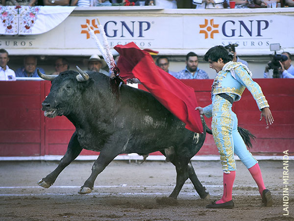 Ray� en la temeridad