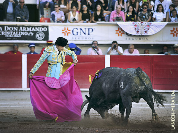 Grata sorpresa en el tendido
