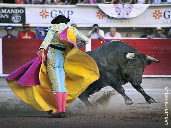 Confianza may�scula