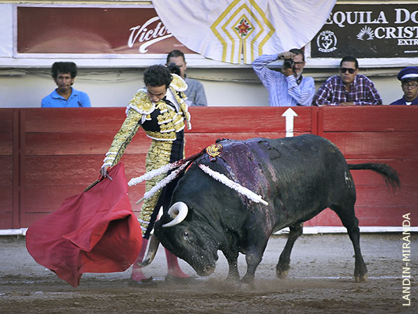 Siempre firme y templado