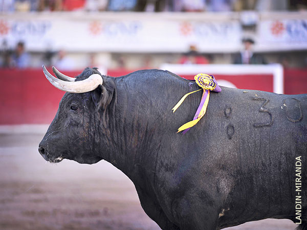 San Miguel de Mimiahu�pam