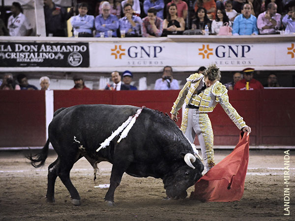 Acompa�ando las embestidas