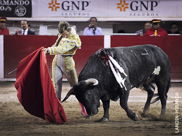 Expresi�n art�stica