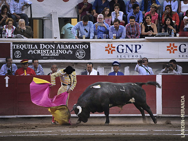 Abrochando el saludo con una media