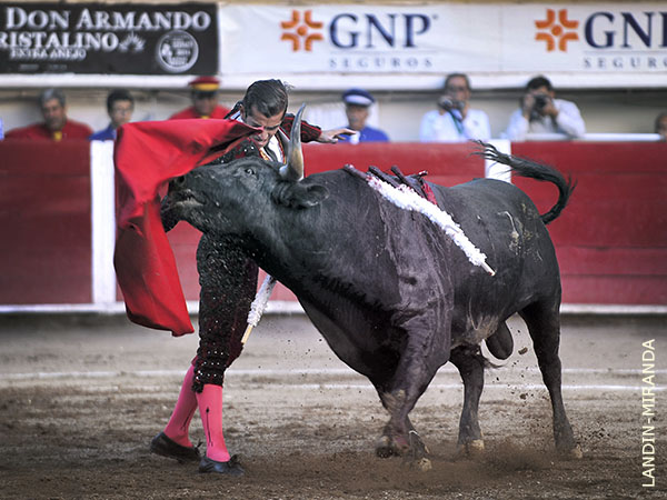 Frecuentes derrotes, en el pecho