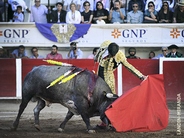 Constante y fiel a su concepto