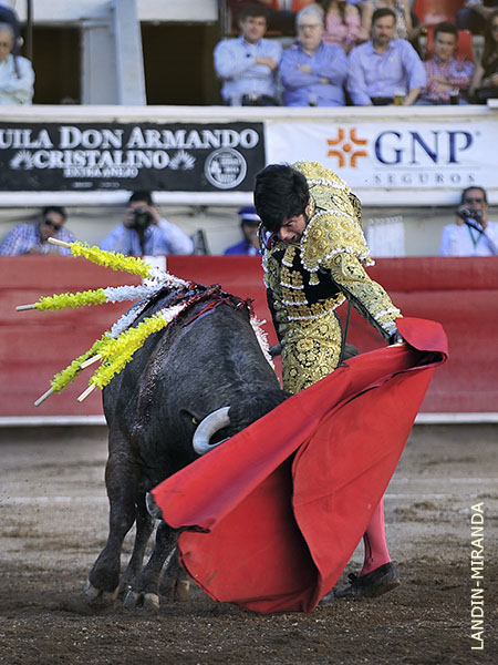 Bien colocado y muy firme