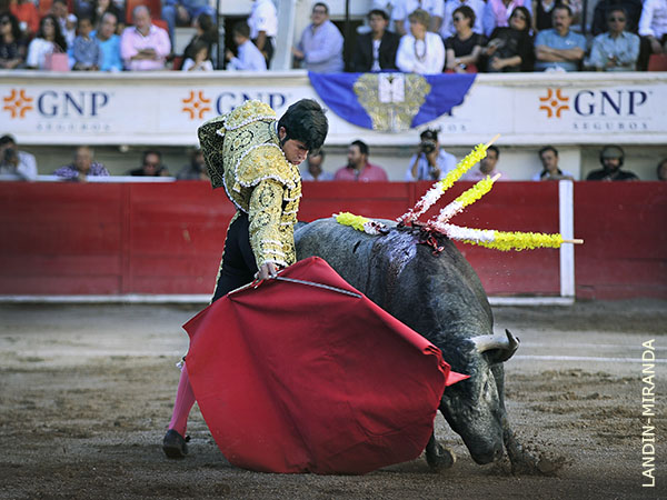 Despaciosidad en su trazo