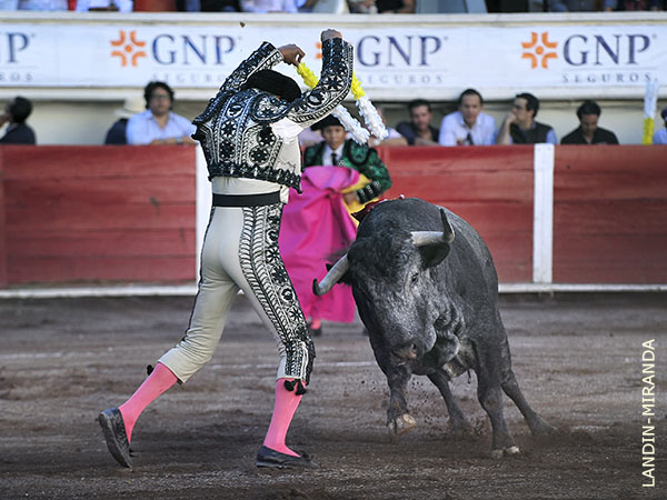 Kingston padre, jaleado en el par