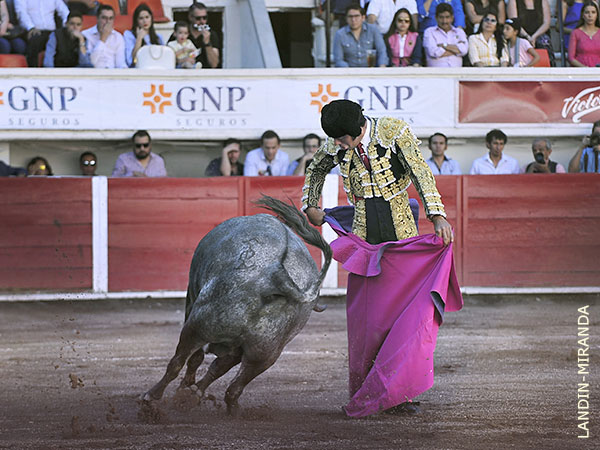 Esa actitud recia y profesional