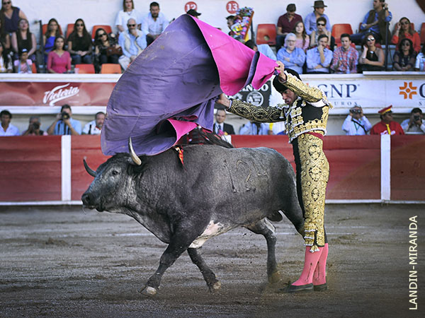 Atractivo referente para los nuevos