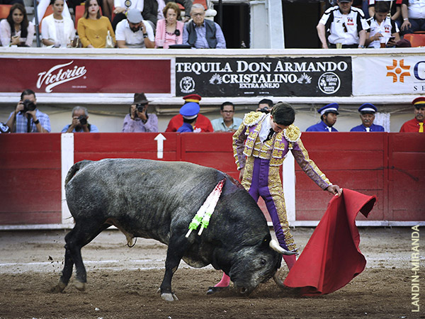 Lo mejor, lo firm� Armillita