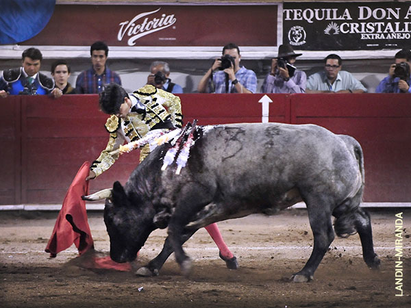 Gozando el favor del p�blico