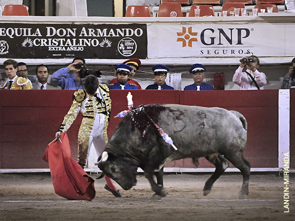 Faena vistosa, por ambos pitones