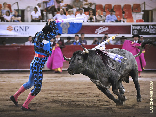 Par de DIego Mart�nez