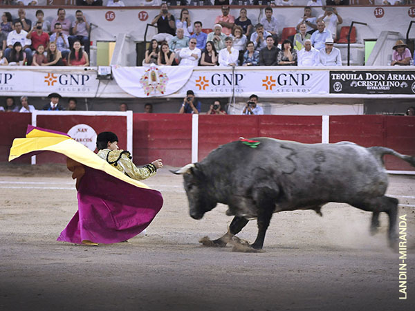 Larga de magn�fica ejecuci�n