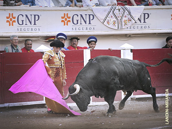 Mostr� buenas hechuras el jerezano