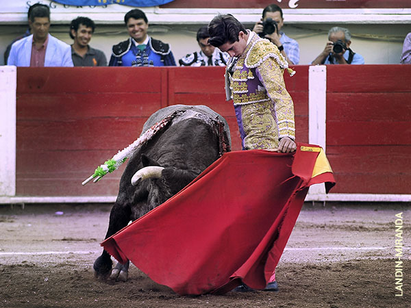 Concepto aprendido en casa