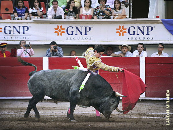 Francamente bien con el quinto