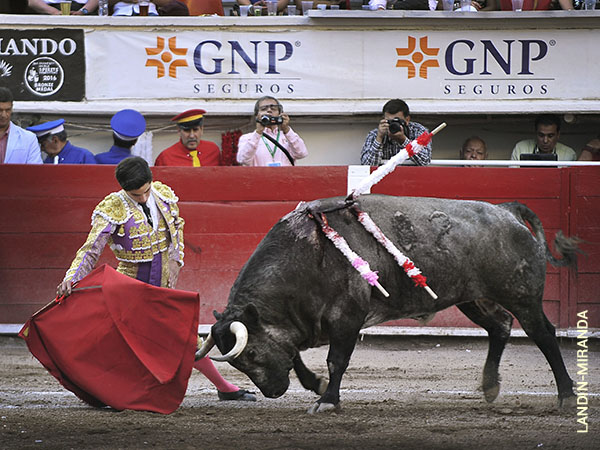 Doblones din�sticos