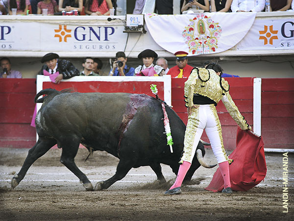 Centrado en sus trasteos