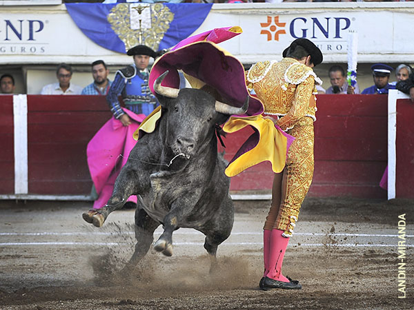 Por saltilleras en los medios