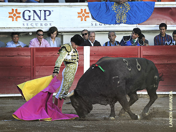 Michelito, primer espada