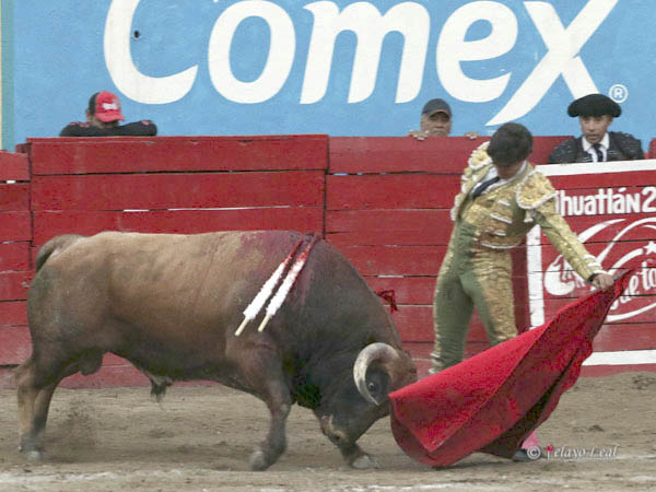 Rotundidad salmantina