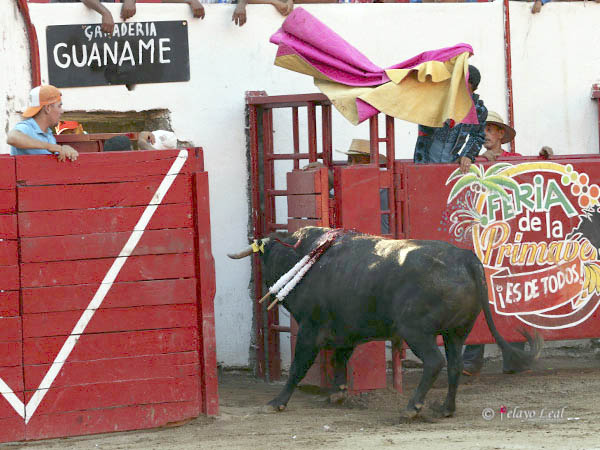 Se gan� el regreso a Guanam�