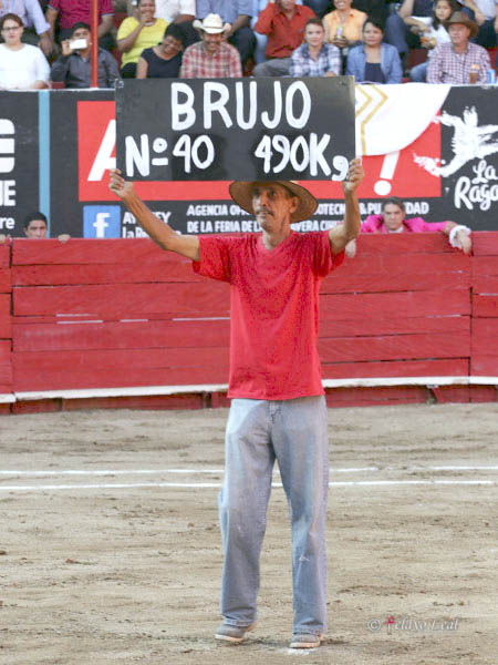 Se anuncia el ejemplar