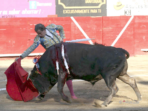 A seguir toreando
