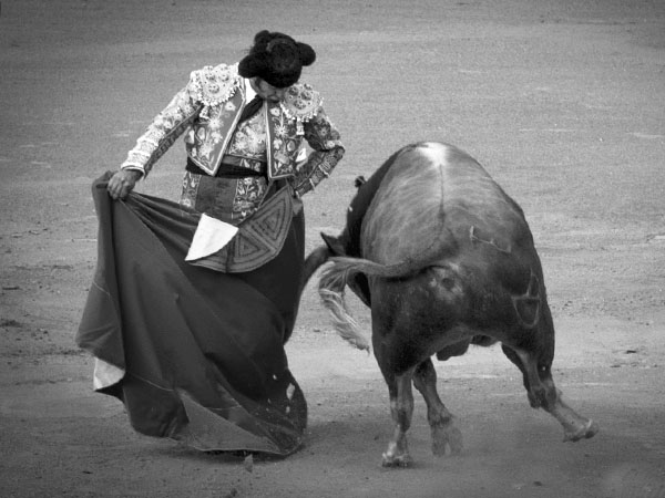Chicuelinas sevillanas