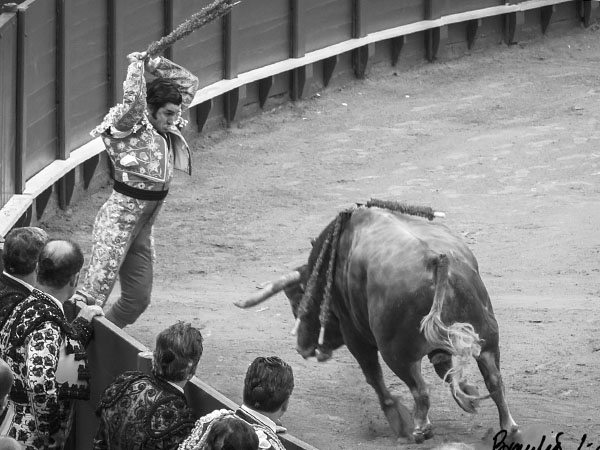 Morante en las banderillas