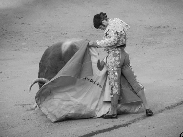 Ver�nicas de Morante