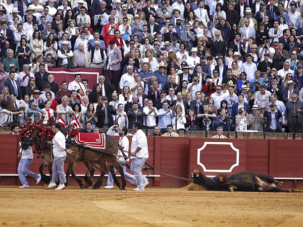 Palmas y vuelta a los restos