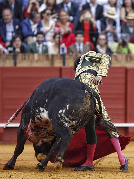 Gran tarde del peruano