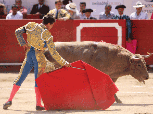 Manzanares con un lote descastado