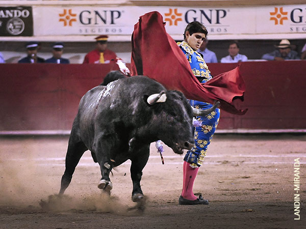 Faena alegre de Gerardo