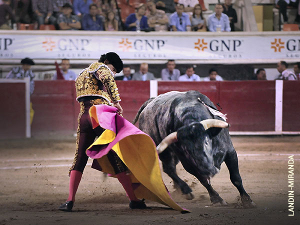 Ejemplares con m�s prestaciones