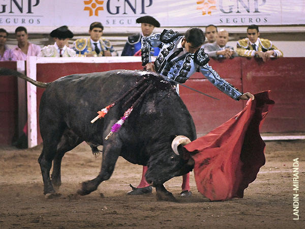 Cargado de temple y suavidad