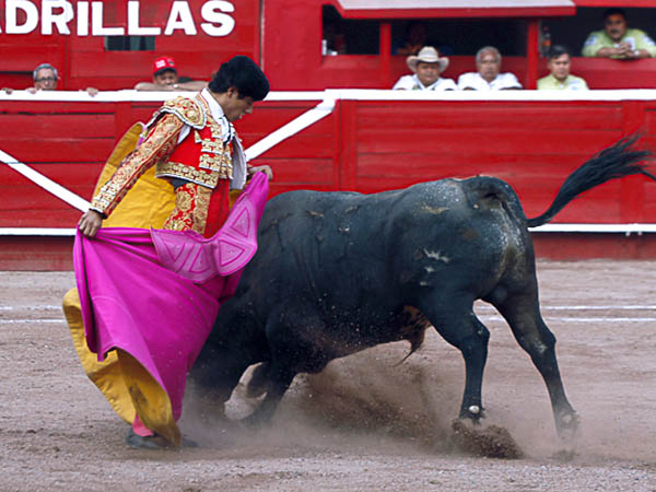 Las chicuelinas de Luis David