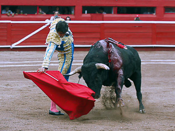 Perera, primer espada